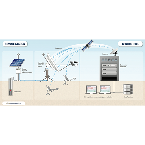 Mindotama cygnus2.png
